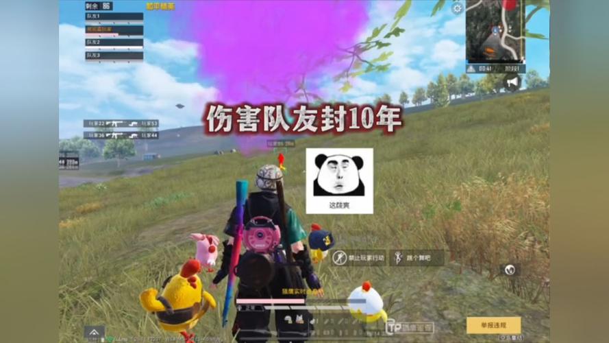 和平精英【锦鲤内核】辅助外挂
